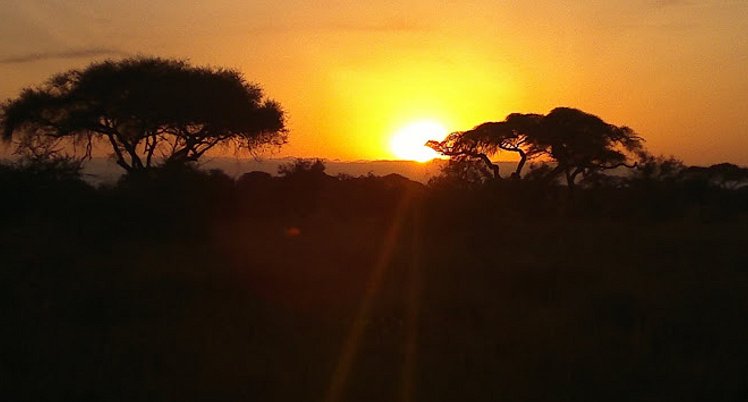 YHA Kenya Travel Wildlife Safari20